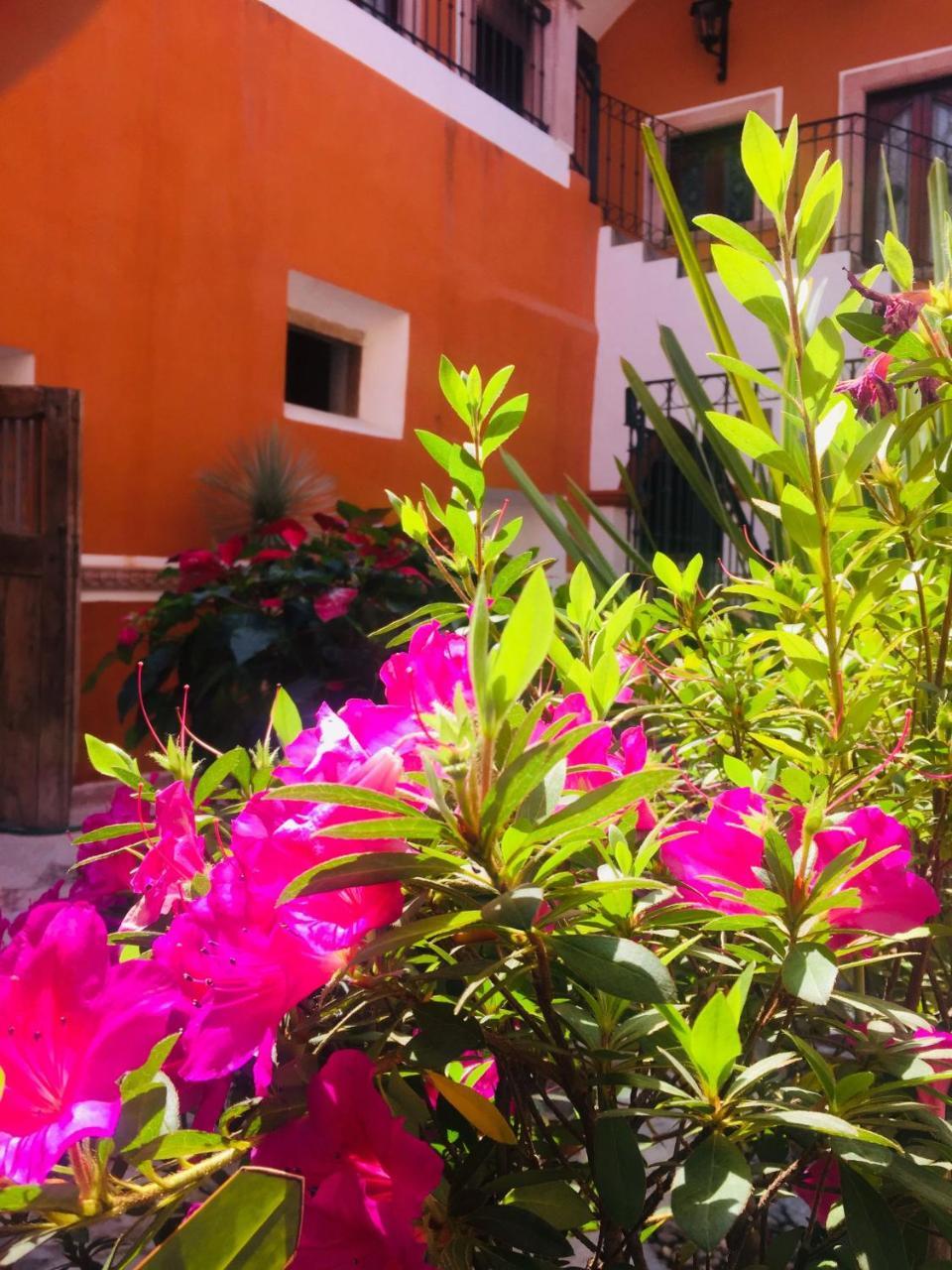 Casa Pozo Del Rayo Hotel Boutique Dolores Hidalgo Exterior photo